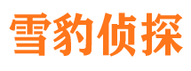 河西市侦探调查公司